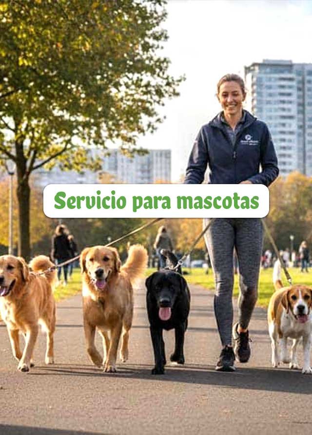 Servicio-para-mascotas