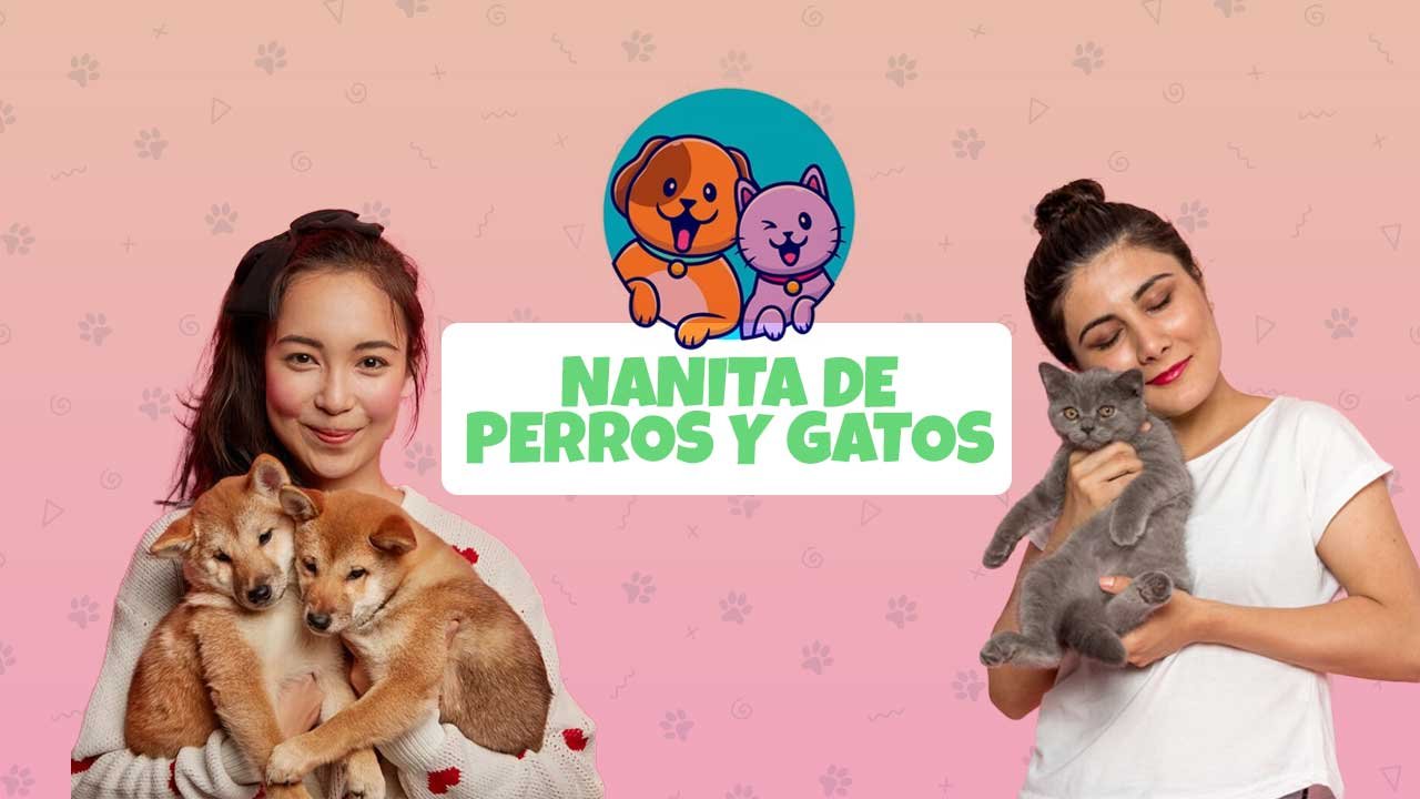 nanita-pets